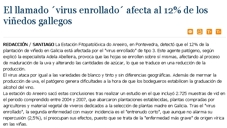 O chamado 'virus do enrolado' afecta ao 12% das vias galegas