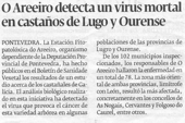 O Areeiro detecta un virus mortal en castaos de lugo y Ourense