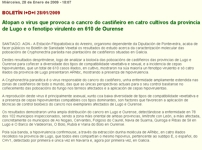 Atopan o virus que provoca o cancro do castieiro en catro cultivos da provincia de Lugo e o fenotipo virulento en 610 de Ourense
