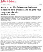 Alerta en las Ras Baixas ante la elevada incidencia de la procesionaria del pino y sus riesgos para la salud