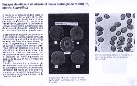 Ensaios de eficacia in vitro do novo biofunxicida NOMOLD contra Sclerotinia